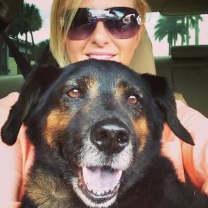 Meet your Posher, Taryn